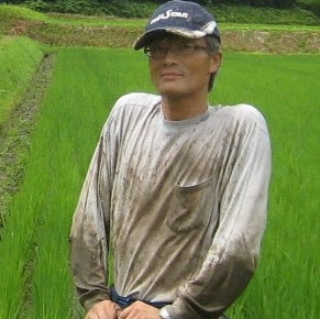 市井晴也