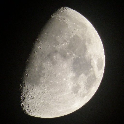 evonite(エボナイト)＠🐝社会人サークルボドゲ部部長