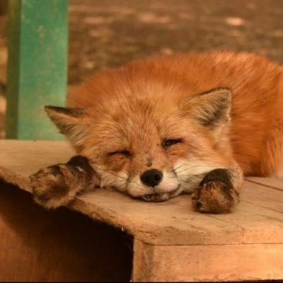 Yuki🎲ボードゲーム