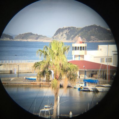 とび八