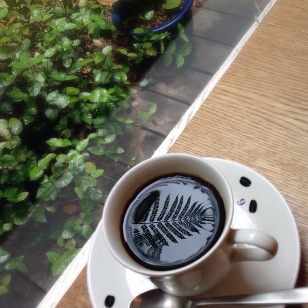 珈琲片手に