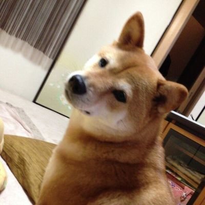 けんたろおおおお