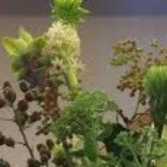 かまびすく