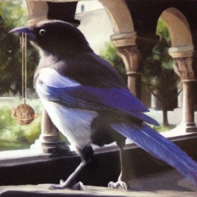 じゅんじゅん♪