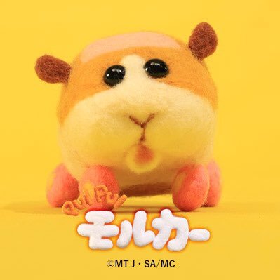 いぬあき(疲)@4歳&🥚マミトラ🏃‍♀️