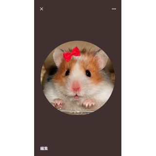 すがえり