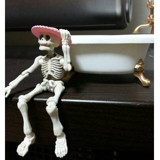 銘苅(めかり)