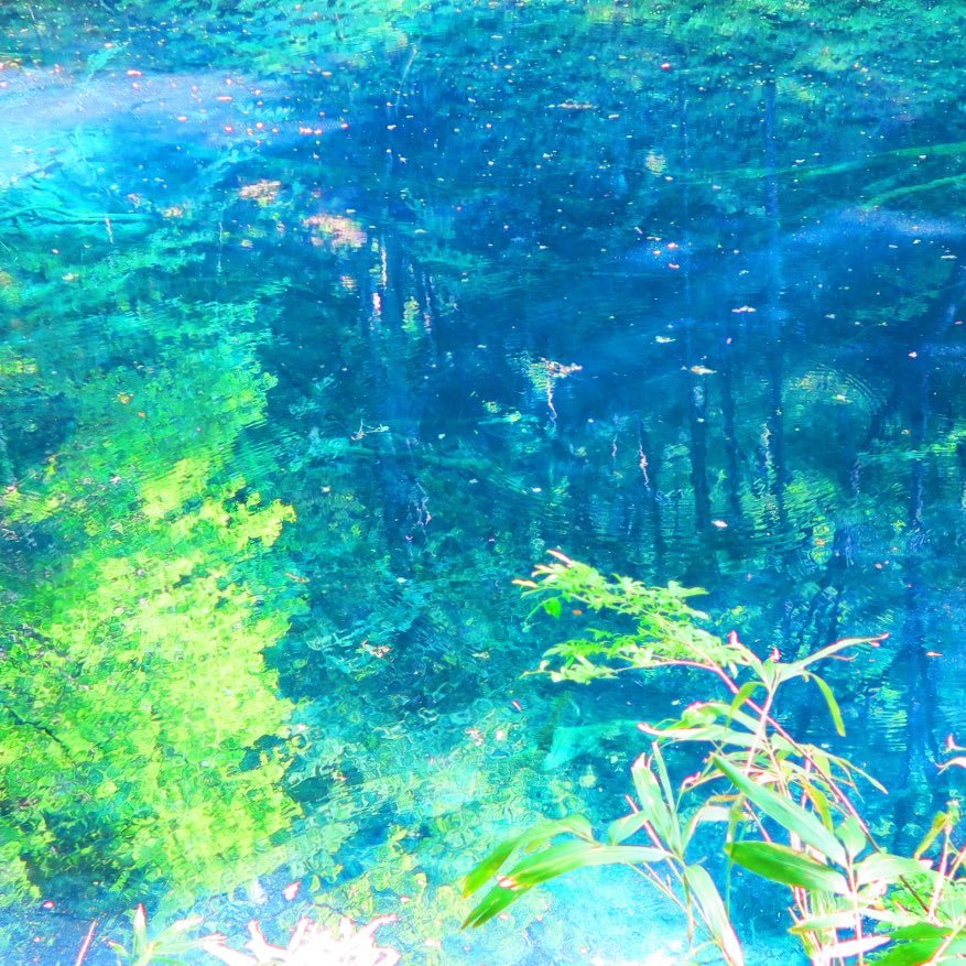 あまねし