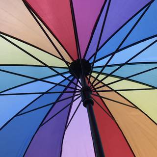 Elllllie（エリー）