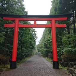 葉桜遊識