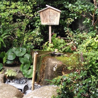 風にあこがれ立ち上る