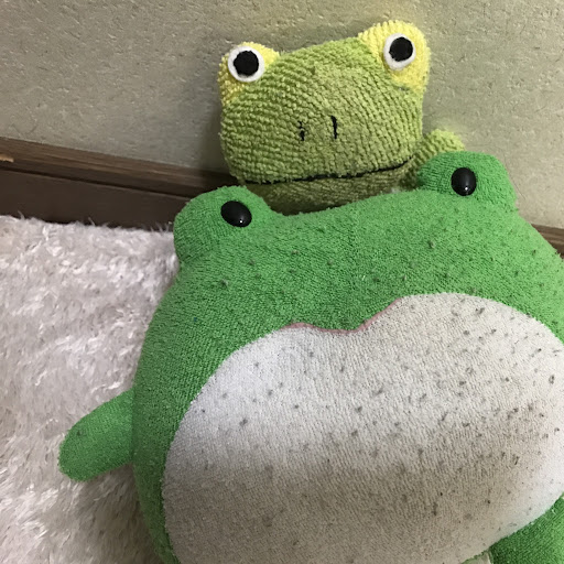 チャンネルカエル