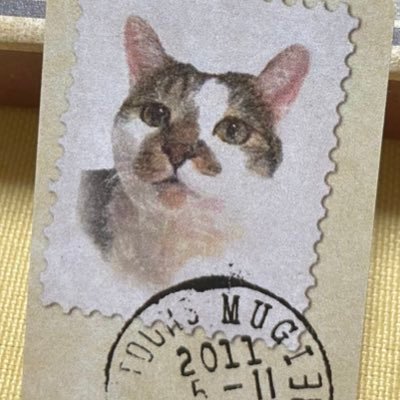 ちひろのボドゲ垢