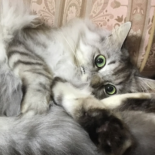 下牧弘明