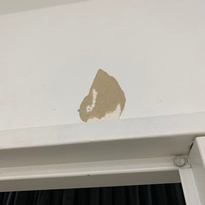 📩西村(にしむら)梨緒葉