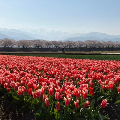 くろべアナログゲーム会