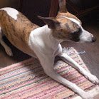 たかぼー店長@福岡大橋12月ボドゲカフェOPEN🎯