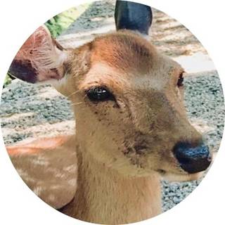 kanji #curryengineering 