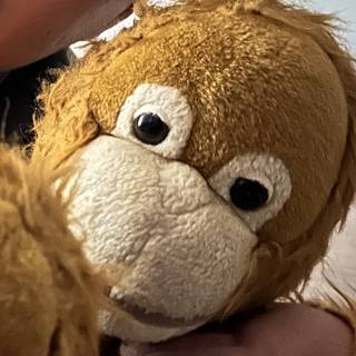 1ちゅうたっきゅうぶ