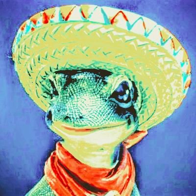 コン(自宅会お誘い用別垢)