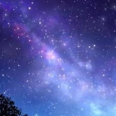 (そらの)スピカ🐻💿🌹