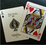 よっしーさん☆さくちゃんさん