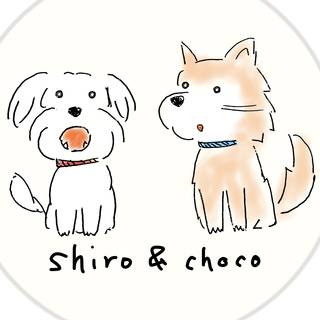 shiro&choco