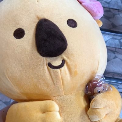 しおん( ´･ω･`)