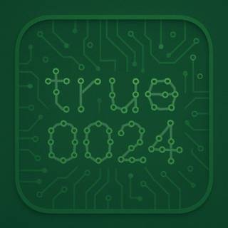 true0024