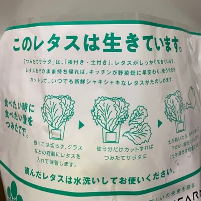 このレタスは生きています