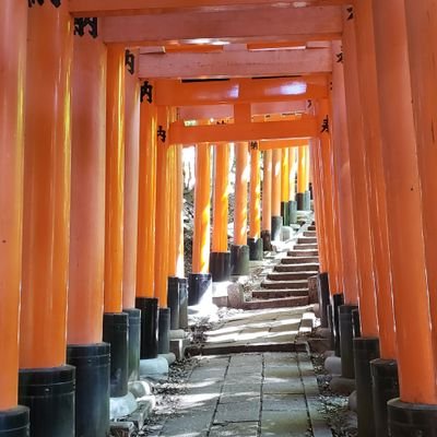 まよぶし🍎🐺