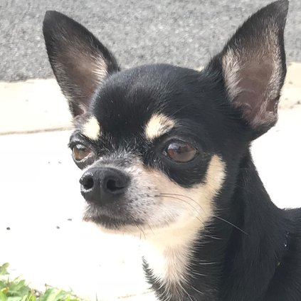 サラダうどん♪