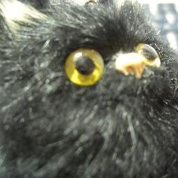 あくらる