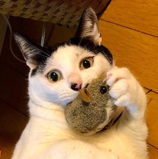 吉澤めい