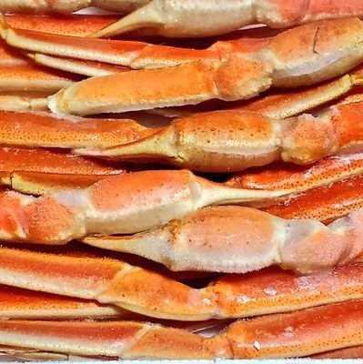 ガス欠君さん太郎さん