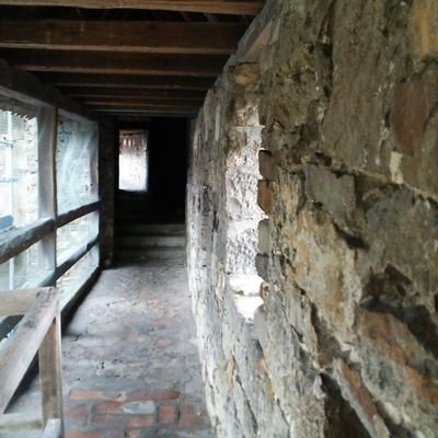 ほろろぎ@ボドゲ垢