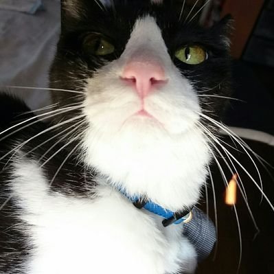 がみ。💉💘🔥