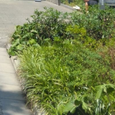 名無しのなっちゃん