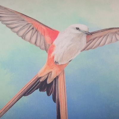 キューゴ🂠(ボード)ゲーム