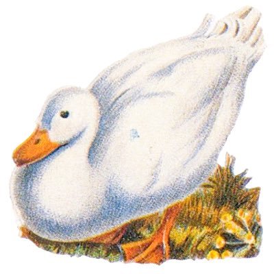 けだまです