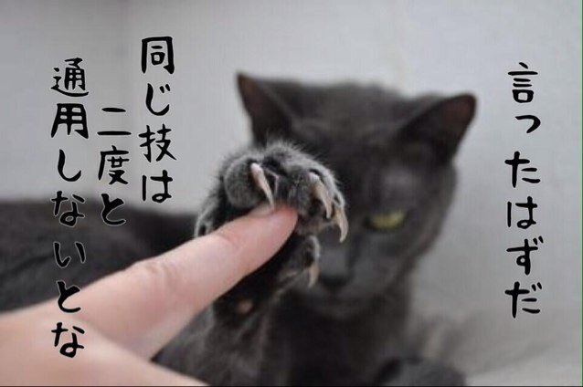 タワディー