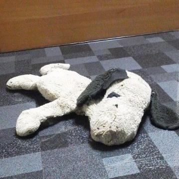 双牙