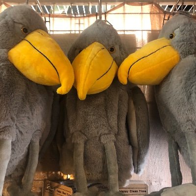 三一二