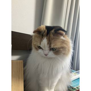 たまちゃん