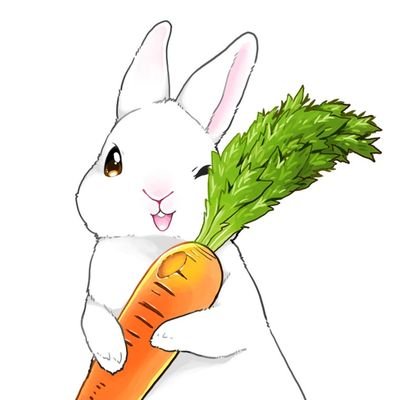 兎（うさぎ）@TeamRABI