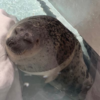 海里