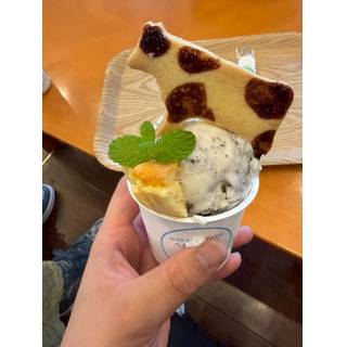 しょう子