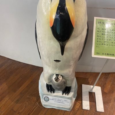 たかひろ