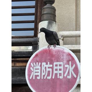 ま る