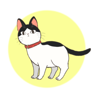 ねこ